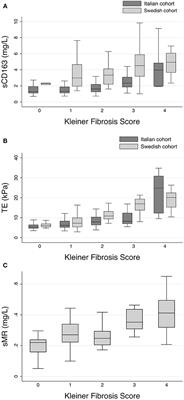 Macrophage Markers Do Not Add to the Prediction of Liver Fibrosis by Transient Elastography in Patients With Metabolic Associated Fatty Liver Disease
